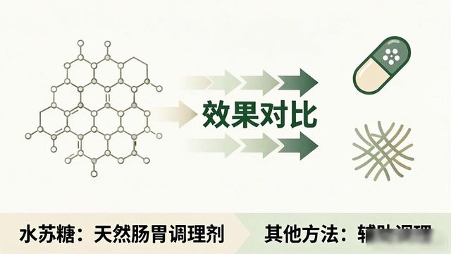水苏糖