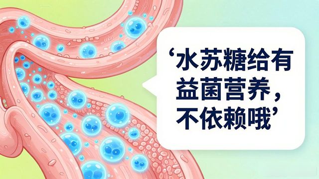 水苏糖