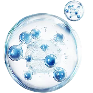 水苏糖