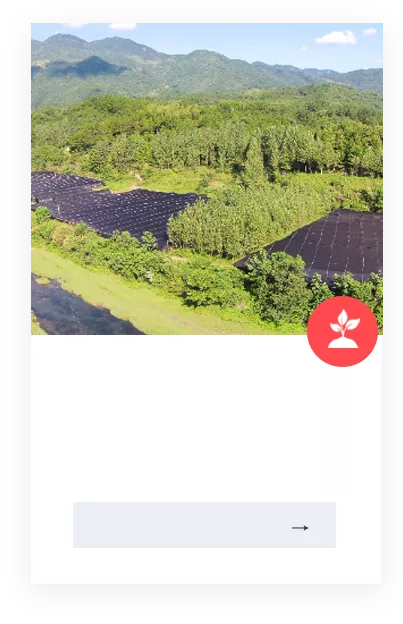 沙河基地
